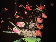 -唐御宴•御宴宫•唐代菜点(芙蓉西路店)