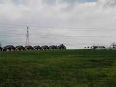 -紫颐香薰山谷景区