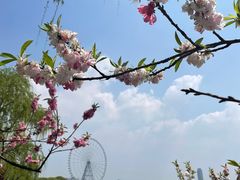-无锡蠡湖国家湿地公园-蠡园
