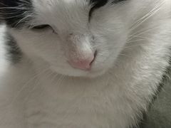 -千岛湖燃擎卡丁车赛车主题乐园(秀湖路店)