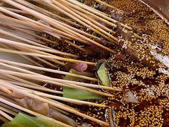 -徐妹串串香(春熙路店)