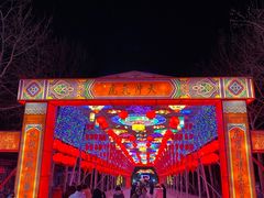 -淄博花灯齐彩城