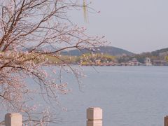 -颐和园