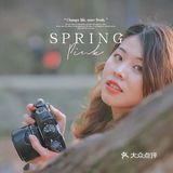 🌸无锡鼋头渚-樱花没开