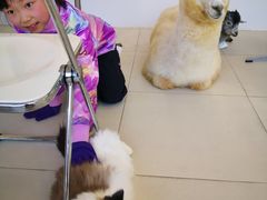 -怪兽屋·羊驼·猫咖·狗咖(俊华广场店)