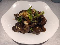 -洞庭家宴·头牌甲鱼(广渠门店)