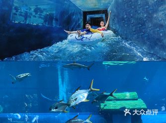 三亚年会旅行|邂逅亚特兰蒂斯