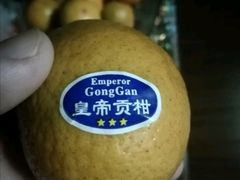 皇帝贡柑-鲜力达果品批发直销(青山店)