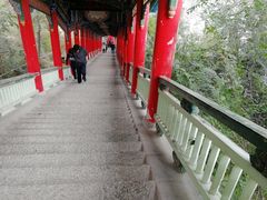 -兰山公园
