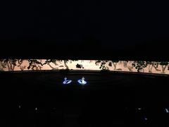 -鼎盛王朝康熙大典实景演出