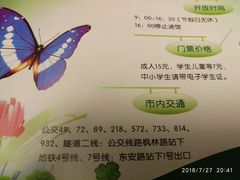 纪念品-上海昆虫博物馆