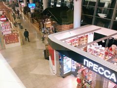 -谢列梅捷沃国际机场