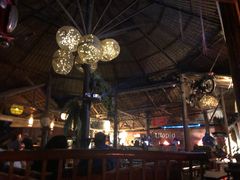 -乌托邦酒吧和餐厅