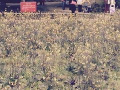 -韶山毛泽东同志故居