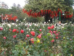 -人民公园(罗湖区)