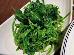 碧绿瓜尖-樽宴酒楼·地道川菜·品质宴请