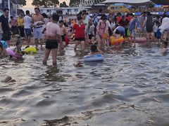 -碧海金沙