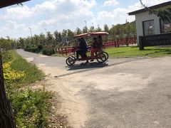 -上海长兴岛郊野公园