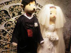 -济州岛泰迪熊博物馆