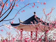 -光明小镇欢乐田园