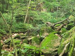 -五女峰国家森林公园