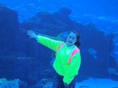 -成都浩海立方海洋公园