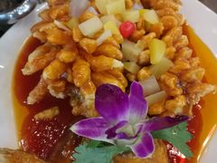 -大眼锅贴饺子(河西店)