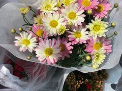 -循礼门鲜花花市(武汉循礼门店)