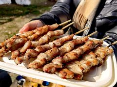 -上海海湾国家森林公园