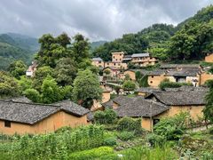 -杨家堂村