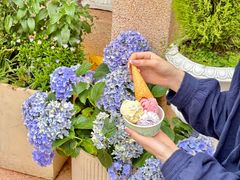 -苏小糖(鼓浪屿三丘田花园店)