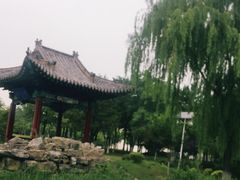 -济南国际园博园