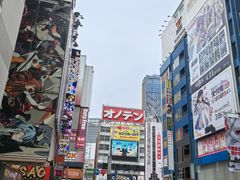 -秋叶原电器街
