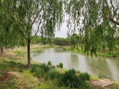 -东郊湿地公园