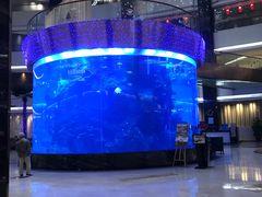 大堂-OPEN開全日自助餐厅·牛肉火锅·海鲜(佛山希尔顿酒店)