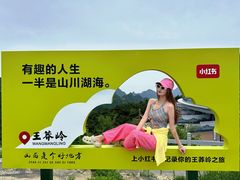-王莽岭风景区
