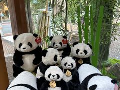 -轩客会(熊猫书店)