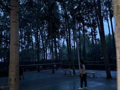 -仁和公园(顺义区)