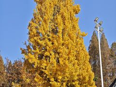 -东坡赤壁风景名胜区