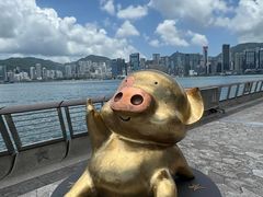 -星光大道
