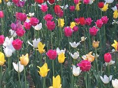 -长春公园(普阳街道)