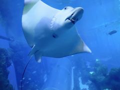 -成都浩海立方海洋公园