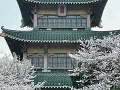 -东湖听涛景区