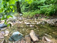 -素山寺森林公园