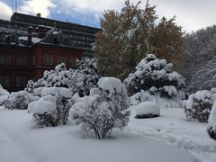 -北海道厅旧本厅舍(旧本庁舎)