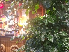 -草原塞蛮羊火锅城(港湾店)