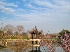 -苏州上方山国家森林公园