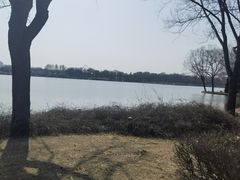 -石家庄市植物园