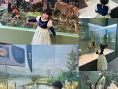 -国家自然博物馆