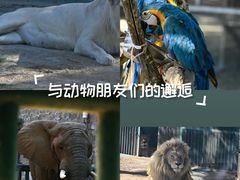-郑州市动物园